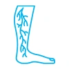 Varicose veins icon(100100)